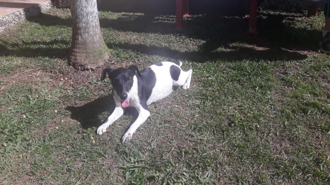 Sitio E Pousada Recanto Dos Ipes Teresópolis Esterno foto